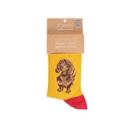 Wrendale SOCKC008 - Calzini per bambini "Little One", taglia 27-31, 1 paio, giallo., 27-31