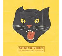 Wrinkle Neck Mules - I Never Thought It..