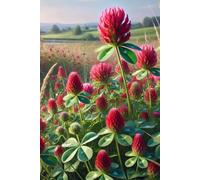 Writing Notebook: Beautiful Botanical Journal for Ideas, Aesthetic Floral Journal - Perfect for Poetry, Notes & Thoughts