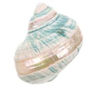 WRITWAA Conchiglia Naturale Mediterranea Fluorescente Collezione di Conchiglie a Tema Oceano per Decorazioni di Acquari e Arredamento Nautico da Tavolo Esemplare Educativo per e