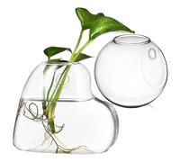WRITWAA Fioriere da Parete in Vetro Borosilicato Resistente Set 2 Pezzi Supporto e Fissaggio Porta Piante Sospeso per Interni Terrario Trasparente per Piante e Boccia per Pesci