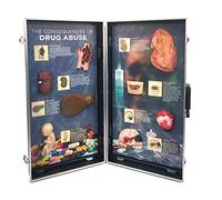 WRS Group Conseguenze dell'abuso di droga, 3D Info Board