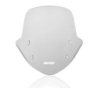 WRS Cupolino Parabrezza per BMW R 1250 R ABS 2019-2022 BM055F