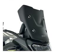 CUPOLINO ENDURO NERO OPACO WRS F 900 GS 2024