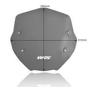Wrs Parabrezza Sportivo Bmw Bm056fs
