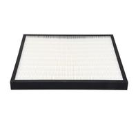 Wrtysully 1 Pezzo di Ricambio Filtro HEPA per FZ-F30HFE Purificatore D'Aria Accessorio Durevole 310X280Mm