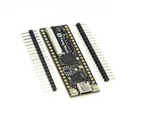 Wrtysully 1Pcs Tang Nano Scheda di Sviluppo Minimalista FPGA Scheda di Sviluppo Tang Nano 1K Inserto Dritto Breadboard Parte