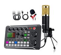 Wrtysully Kit Scheda Audio Portatile Microfono A Condensatore per PC Set Scheda Audio Live
