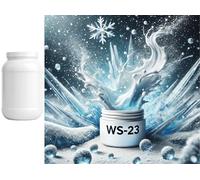 WS-23 - Cooling Agent - Polvere cristallina pura - Koolada - Sasami - 10 g