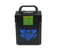 WSDAV Batteria al Litio di Ricambio per carrelli elevatori 24V 20AH LiFePO4 per carrelli logistici/carrelli per carico e Scarico/Motori EPL1531/MT12 da 0-500W.,Without Lights