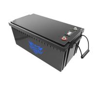WSDAV Batteria LiFePO4 12V 24V 48V per accumulo di energia con Maniglia