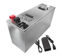 WSDAV Batteria per Barca elettrica 12V 24V 48V Batteria al Litio Ferro fosfato 50AH 100AH per Motore Marino per motoscafo da 0-4800W,48v50ah