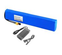 WSDAV Batteria per Bici Elettrica agli Ioni di Litio da 36V, 12Ah, 10S4P, Compatibile con Motore da 150-450W con Spina XT60/T E Connettori DC21 per Biciclette Elettriche/Scooter,T Plug