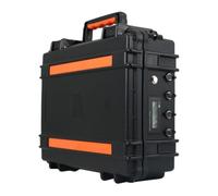 WSDAV Batteria per ecoscandaglio da 12 V, 60 Ah, 80 Ah, 100 Ah, 120 Ah, 150 Ah, 200 Ah, Pacco Batteria al Litio con Caricabatterie per Motore da 0 a 2400 W.,12v60ah