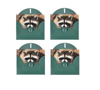 WSHFFILO Biglietto di auguri con stampa di procione in autunno, con busta, biglietto di ringraziamento