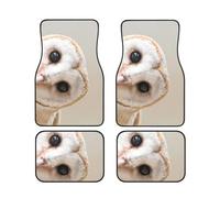 WSHFFILO Funny Owl stampato Car Floor Mat Set di quattro tappetini antiscivolo per auto