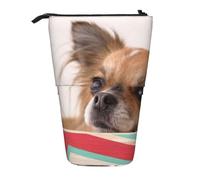 WSHFFILO Papillon in The Box - Astuccio telescopico espandibile per matite