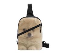 WSHFFILO Zaino a tracolla con stampa cane Pomerania carino