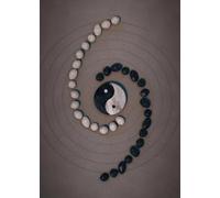 WSJIJY Stampa su Tela Bianco E Nero Giapponese Testo Poster Vita Morte Compassione Onore Arte della Parete Gatto Drago Tela di Canapa Pittura Home Decor 70X100Cm No Frame
