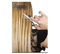 WSJIJY Stampa su Tela Capelli Parrucchiere Bellezza Salone di Bellezza Estetica Moderna HD Poster Decorativi Stampati su Tela Immagini Artistiche da Parete Decorazioni per La Casa Dipin