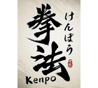 WSJIJY Stampa su Tela Decorazione Soggiorno Calligrafia Tradizionale Arte del Carattere Jianpu Tai Chi Bushido Poster Stampe Dipinti su Tela 50X70Cm Senza Cornice