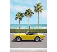 WSJIJY Stampa su Tela Estate Tropicale Città Costiere Surf Spiagge Oceano Esplorazione Poster su Tela Dipinti Parete Arte Immagini Home Decor 15X20Cm Senza Cornice