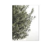 WSJIJY Stampa su Tela Italiano Città Limone Arancia Raccolta Poster E Stampe Casa Giardino Piante Tela Dipinto Auto Moto Decorazione D'Interni Immagine Arte Murale 50X70Cm Senza Cornic