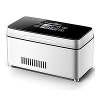 WSMYGS Contenitore per frigorifero per insulina Dispositivo di raffreddamento per insulina Scatola refrigerata Contenitore per frigorifero Elettrico portatile da viaggio per auto Contenitore refrig