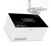 WSMYGS Frigo per insulina Contenitore per insulina portatile, congelatore portatile per insulina, frigorifero portatile, frigorifero elettrico con batteria e ricarica USB, un set di batterie Dispos