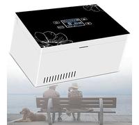 WSMYGS Frigo per insulina Frigo e congelatore per insulina, congelatore per diabetici, congelatore per insulina portatile per auto, viaggio, uso, un set di batterie Raffreddatore per insulina