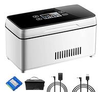 WSMYGS Scatola frigo per insulina Scatola refrigerata per insulina, insulina, interferone, farmaci per l'ormone della crescita refrigerati, batterie al litio portatili adatte per casa, viaggi, auto