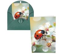 WSOIHFEC Biglietti di auguri con farfalla coccinella fiore biglietti vuoti con buste biglietti di ringraziamento biglietti di auguri biglietti di buon compleanno biglietti di San Valentino per laurea