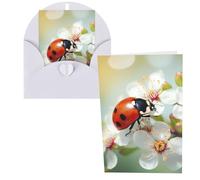 WSOIHFEC Biglietti di auguri con farfalla coccinella fiore biglietti vuoti con buste biglietti di ringraziamento biglietti di auguri biglietti di buon compleanno biglietti di San Valentino per laurea