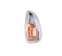 WSUMKH Segnale svolta Per Opel Movano B 2010 2011 2012 2013 2014 2015 2016 2017 2018 Auto Ala Laterale Specchio Lampada Disabilita Siganl Luce Senza Lampadina indicatori direzione(Destra)