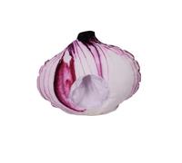 Wswqop Cappello a Cipolla Realistico, Fai da Te, Travestimento per Feste a Tema E Regali di Anniversario.