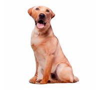Wsymxuo Peluche Cane Realistico 3D Idea Regalo Creativa Cuscino da Abbraccio a Forma di Animale Con Cerniera per Bambini, Soggiorno, Labrador, 90 Cm
