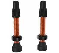 WTB Valvola TCS In Alluminio 46Mm Arancione Coppia