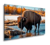 WTD - Stampa su tela con scritta "Bison sul fiume" nella luce autunnale dorata, formato XXL, 120 x 80 cm (3 pezzi)