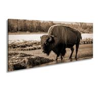 WTD - Stampa su tela con scritta "Bison sul fiume" nella luce autunnale dorata, panorama, 120 x 60 cm, effetto seppia, XXL, stampa artistica su telaio, decorazione da parete e soggiorno