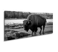 WTD - Stampa su tela con scritta "Bison sul fiume" nella luce autunnale dorata, panoramica, 120 x 60 cm, in bianco e nero, XXL, stampa artistica su telaio, decorazione da parete e soggiorno