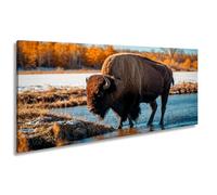 WTD - Stampa su tela con scritta "Bison sul fiume" nella luce d'autunno dorata, panorama, 60 x 30 cm, XXL, su telaio, decorazione da parete e soggiorno