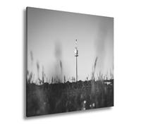 WTD - Stampa su tela con torre di Danubio che sporge sopra il prato nel cielo estivo chiaro, formato: 70 x 70 cm, colore: bianco e nero, XXL, stampa artistica su telaio, decorazione da parete o