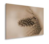 WTD - Stampa su tela, motivo macro di un fiore in sintesi esplosione di colore, 100 x 70 cm, effetto seppia XXL, stampa artistica su cornice/parete o soggiorno