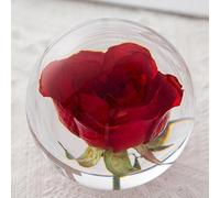 Wttagkl® Retting Reclaces Dandelion, Una Palla da Sogno. Crystal Desired Ball. Reclamo Unico di Lettere di Dente di Leone. Il Regalo Perfetto.,G*8cm