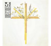 WU LYF A Wave That Will Never Break (CD) Album