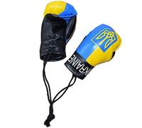 Wudaizhi 1pair Mini Boxe Guanti Porta Portachiavi Ucraini Dono alla Moda a Sospensione per Uomini Donne