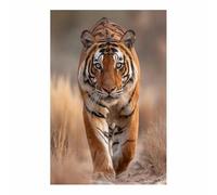 WUFIEA Moderno TIGRE Art Animali Quadri Tigri del sentiero selvaggio Quadri Moderni Soggiorno(Arancione)-60x80cm Non incorniciato
