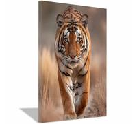 WUFIEA Moderno TIGRE Art Animali Quadri Tigri del sentiero selvaggio Quadri Moderni Soggiorno(Arancione)-20x30cm Incorniciato