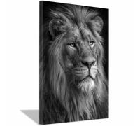 WUFIEA Pittura su tela con leone Stampa artistica con famiglia di leoni Il leone fissa lo sguardo per soggiorno camera da letto decorazione per la casa(grigio225)-60x80cm Incorniciato