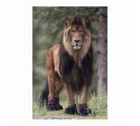 WUFIEA Quadro Su Tela Leone Leone in catene per soggiorno, arredamento per la casa(marrone262)-60x80cm Non incorniciato